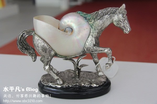 贝类工艺品.jpg
