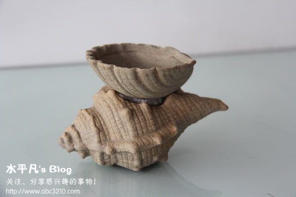 海南贝类产品.jpg